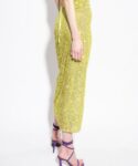 PINKO Gonna Linz Green Paillettes stripe