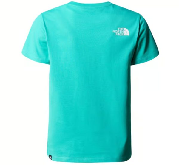 THE NORTH FACE T-shirt Fine da uomo